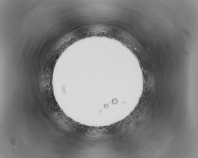 X0000110690824200907241102