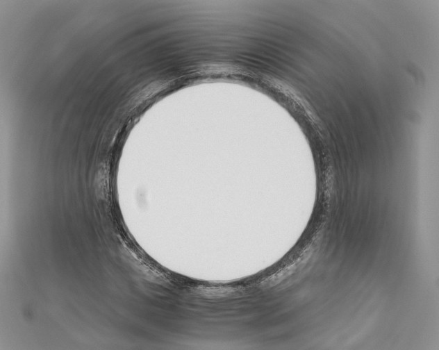 X0000110690825200907241102