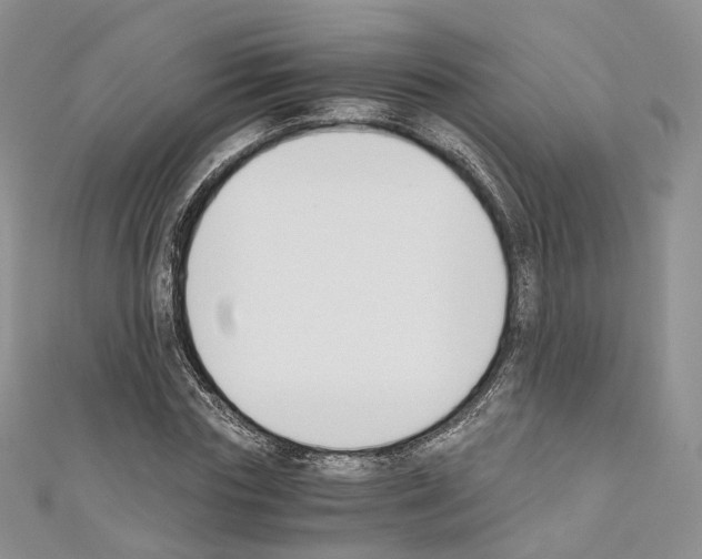 X0000110690827200907241102