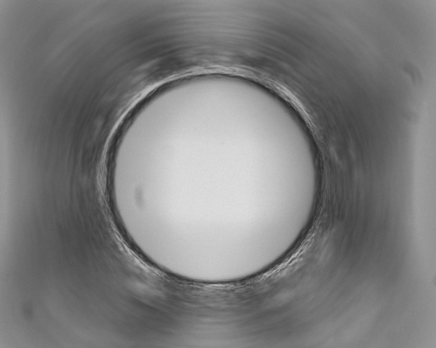 X0000110690828200907241102