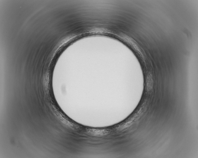 X0000110690831200907241102