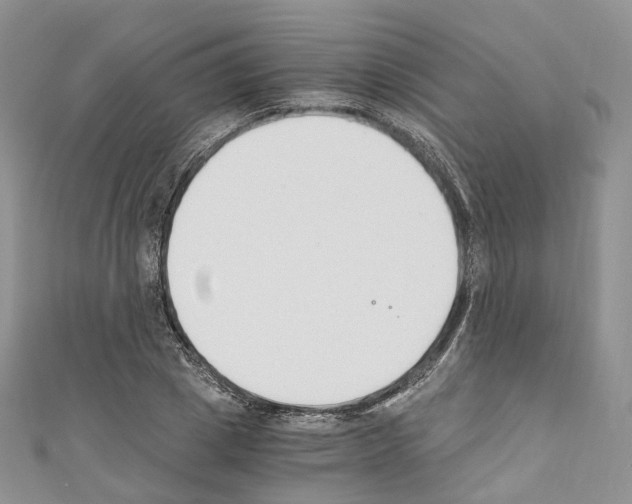 X0000110690833200907241102