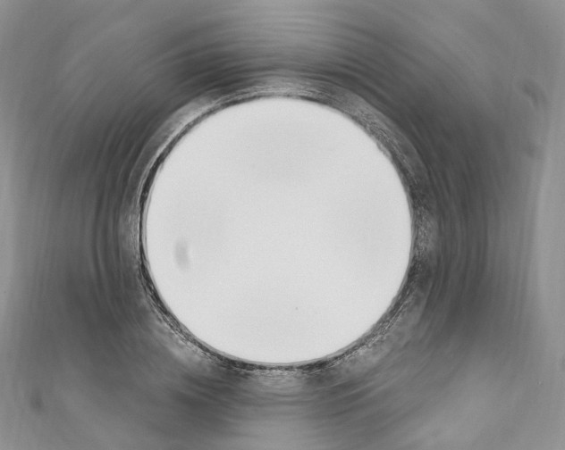 X0000110690836200907241102