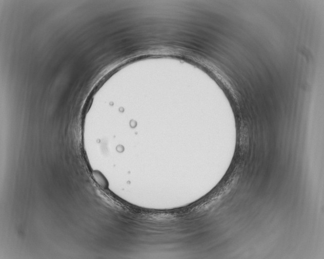 X0000110690837200907241102