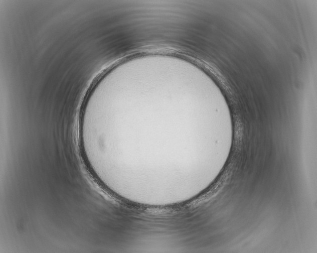 X0000110690840200907241102