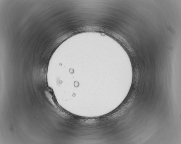 X0000110690841200907241102