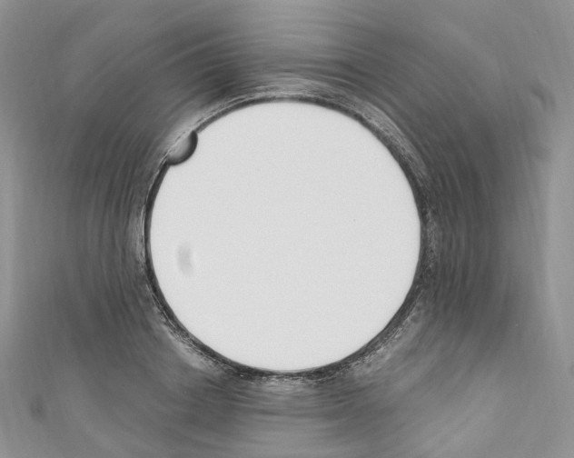 X0000110690842200907241102