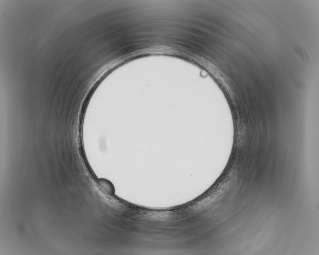 X0000110690845200907241102