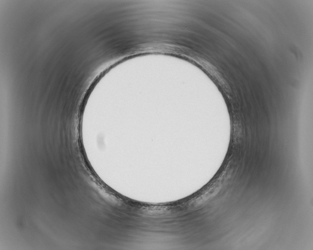 X0000110690846200907241102