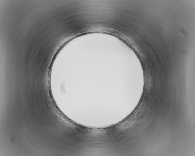 X0000110690848200907241102