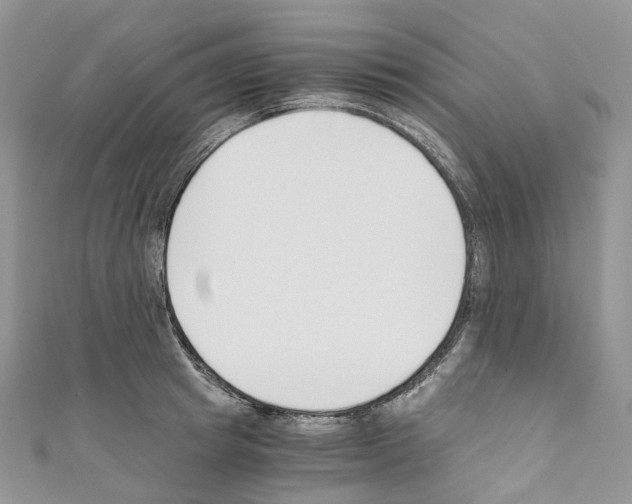 X0000110690849200907241102