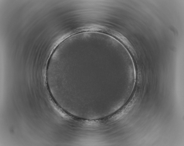 X0000110690850200907241102