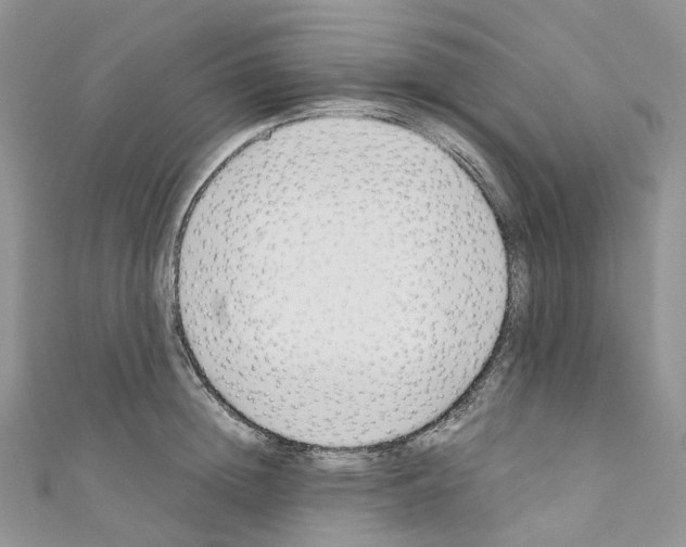 X0000110690852200907241102