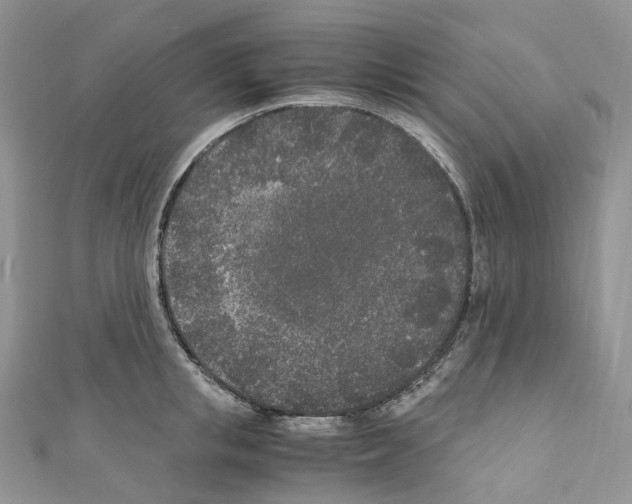 X0000110690853200907241102