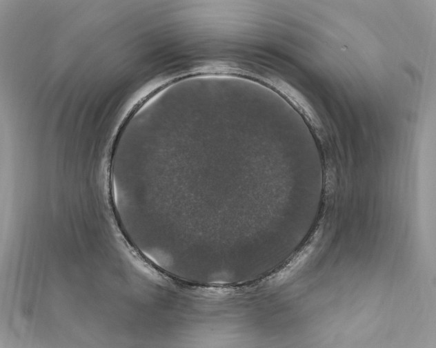 X0000110690854200907241103