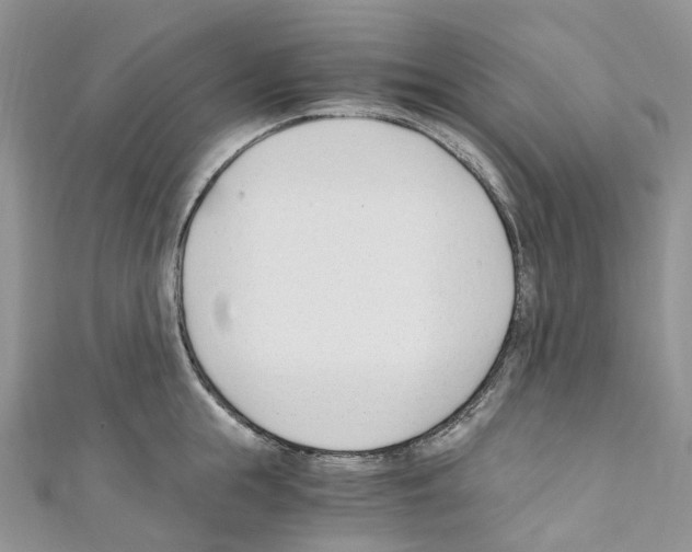 X0000110690855200907241103