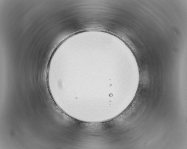 X0000110690856200907241103