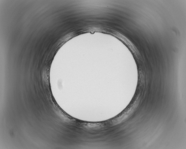 X0000110690857200907241103