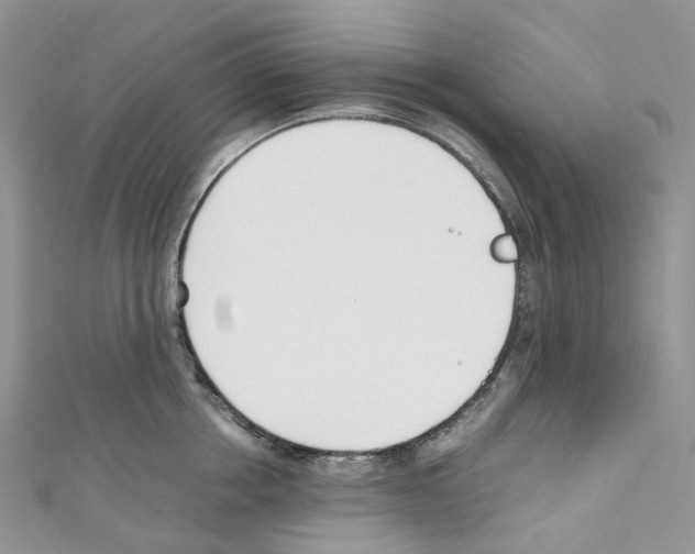 X0000110690858200907241103