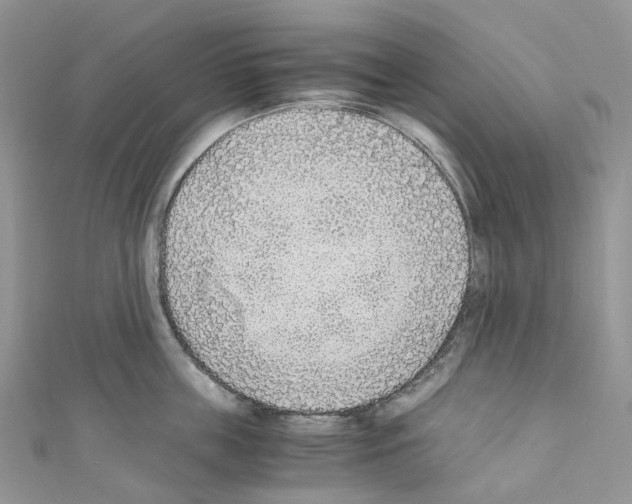 X0000110690859200907241103