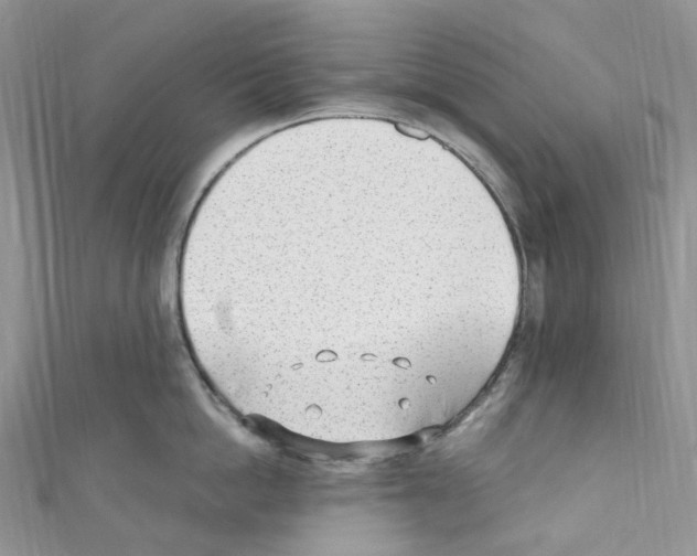 X0000110690862200907241103