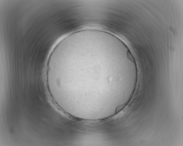 X0000110690864200907241103