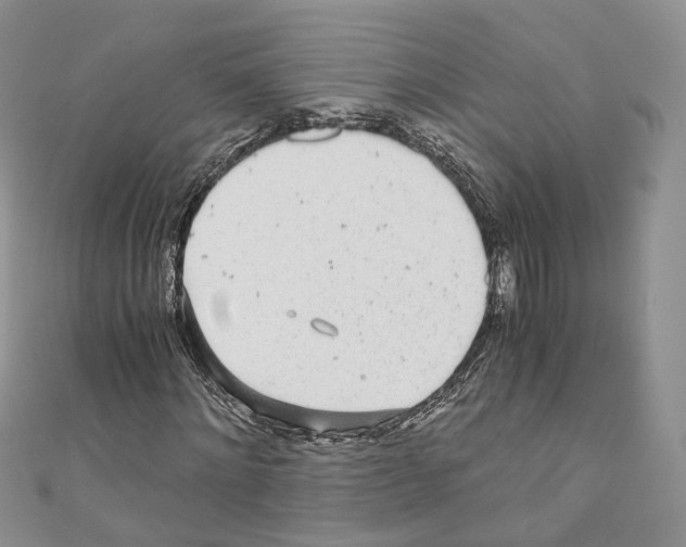 X0000110690868200907241102