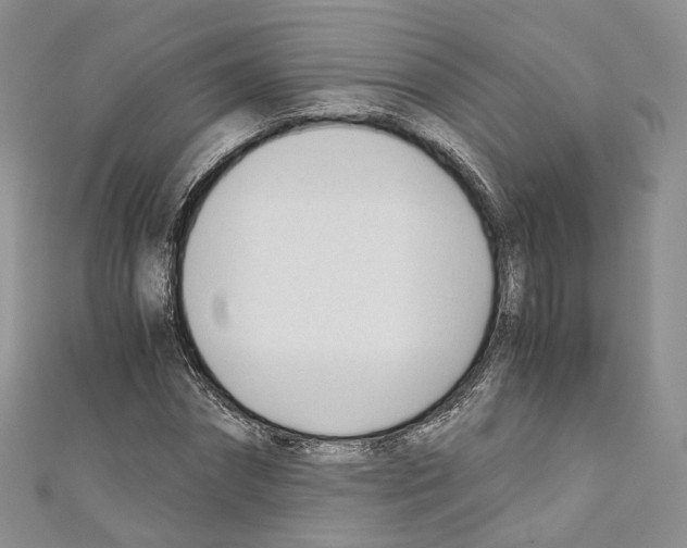 X0000110690874200907241102