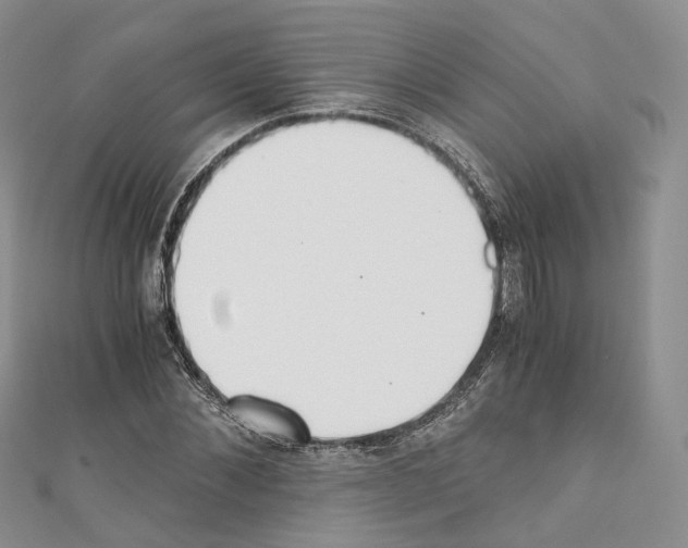 X0000110690876200907241102