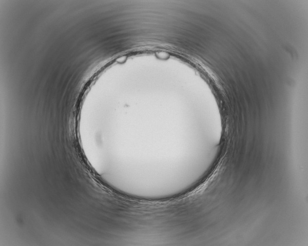 X0000110690877200907241102