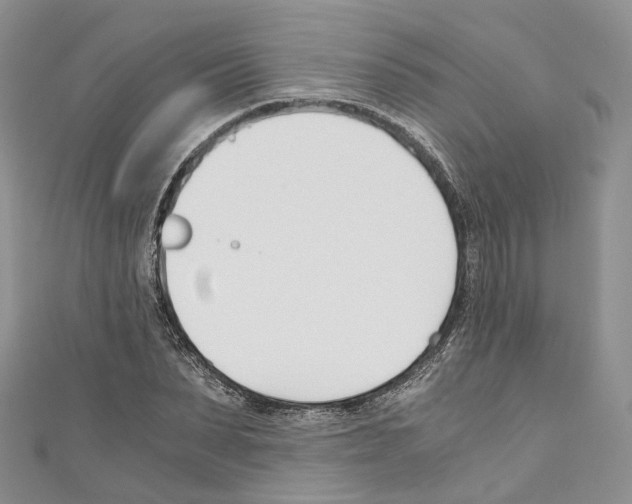 X0000110690879200907241102