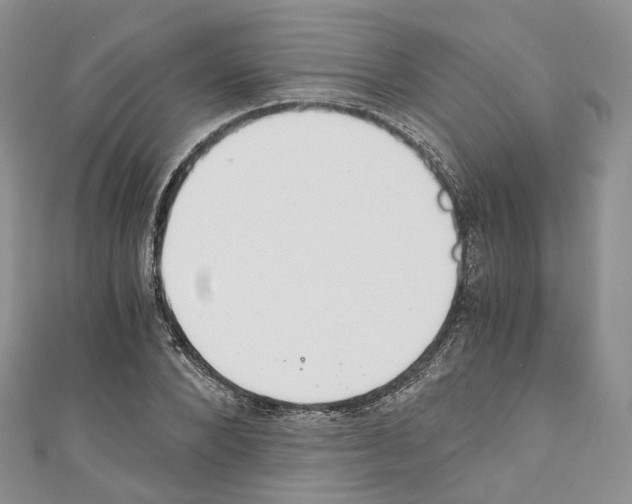 X0000110690880200907241102