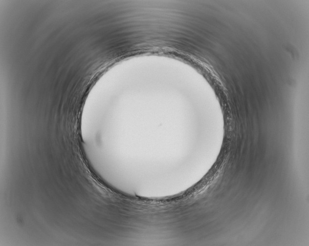 X0000110690881200907241102