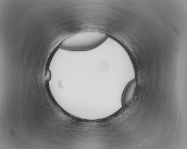 X0000110690885200907241102