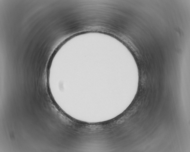 X0000110690888200907241101