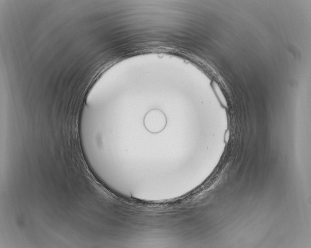 X0000110690889200907241101