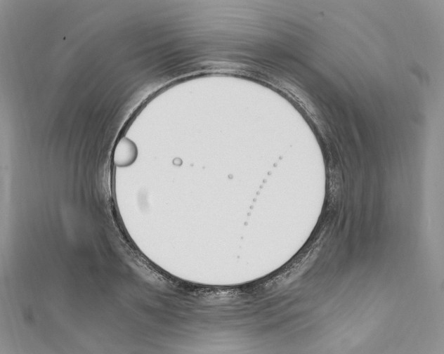 X0000110690891200907241101