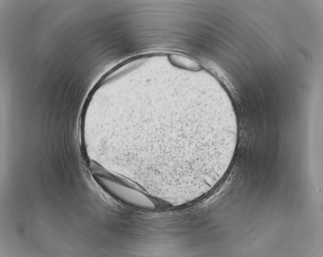 X0000110690892200907241101