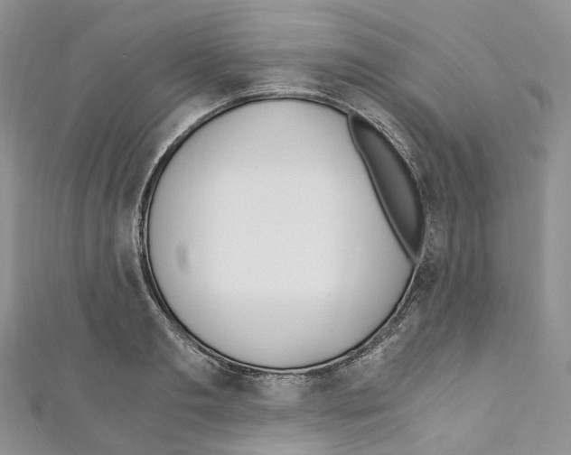 X0000110690893200907241101