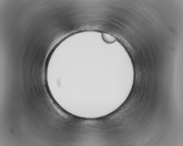 X0000110690894200907241101