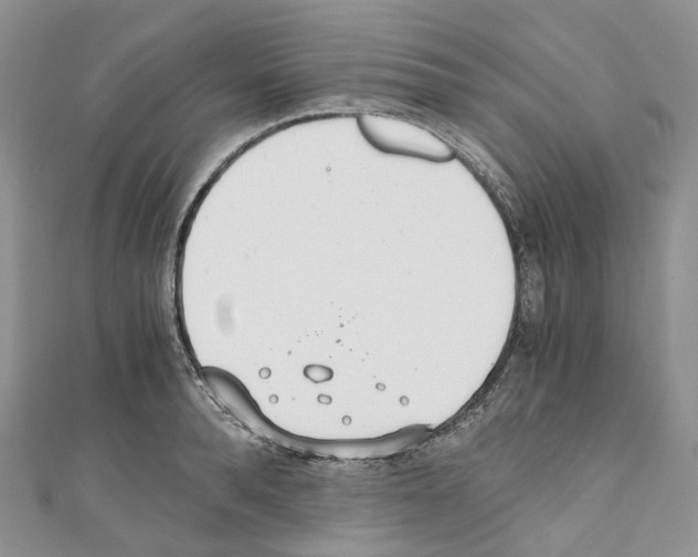 X0000110690896200907241101