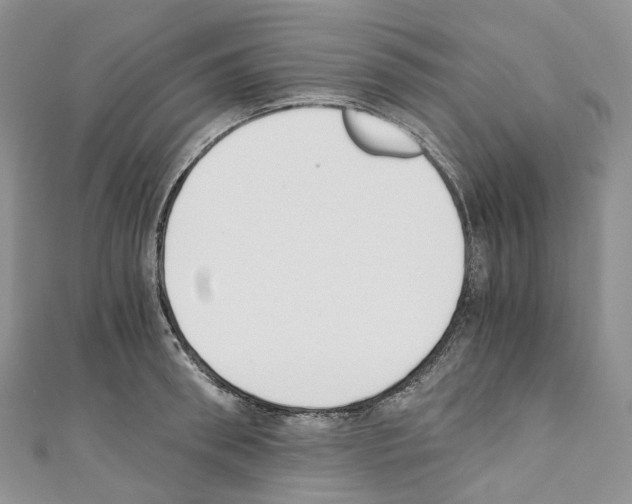 X0000110690898200907241101