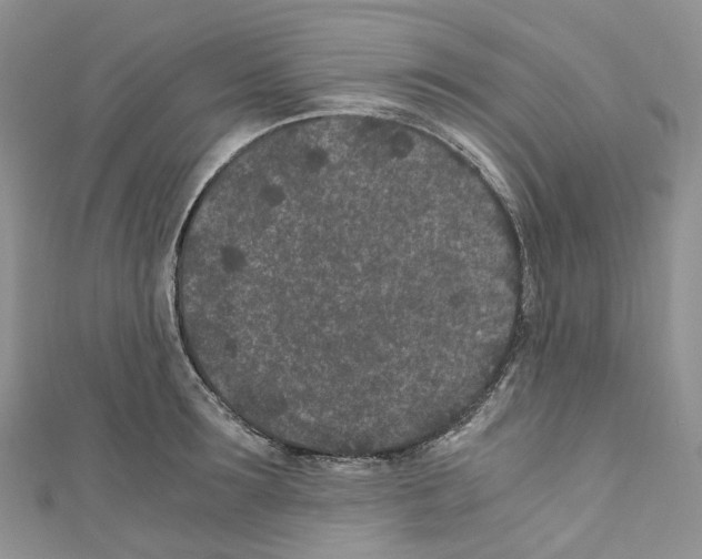 X0000110690899200907241101