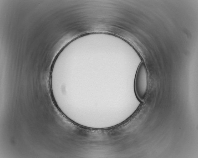 X0000110690901200907241101