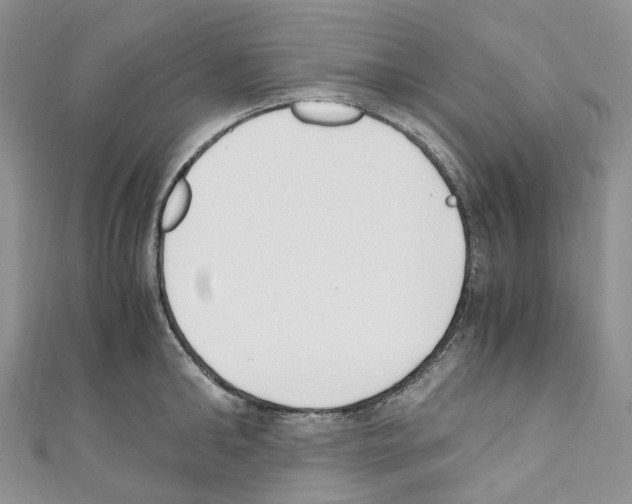 X0000110690902200907241101