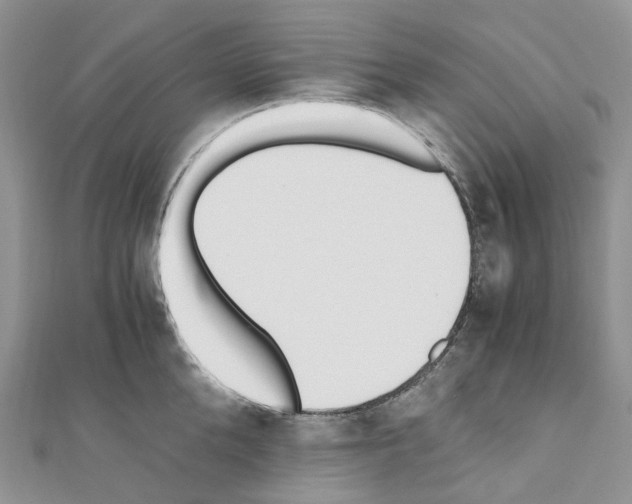 X0000110690904200907241101