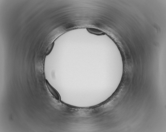 X0000110690905200907241101