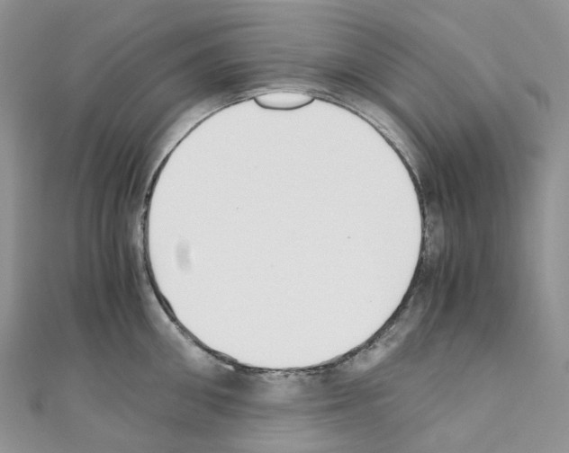 X0000110690906200907241101