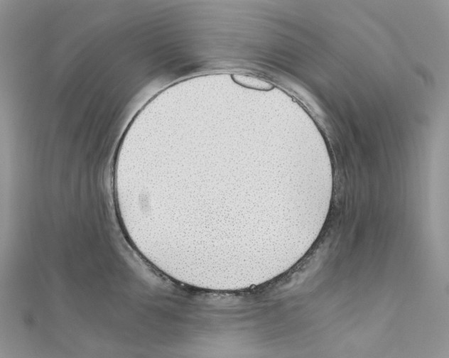 X0000110690907200907241101