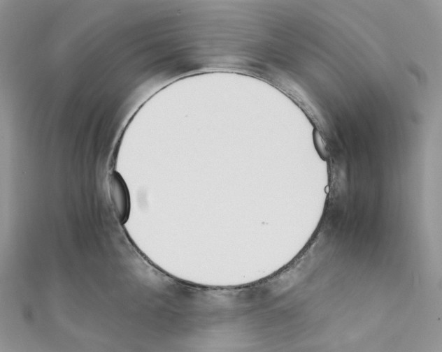 X0000110690908200907241101